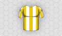 Home team shirt